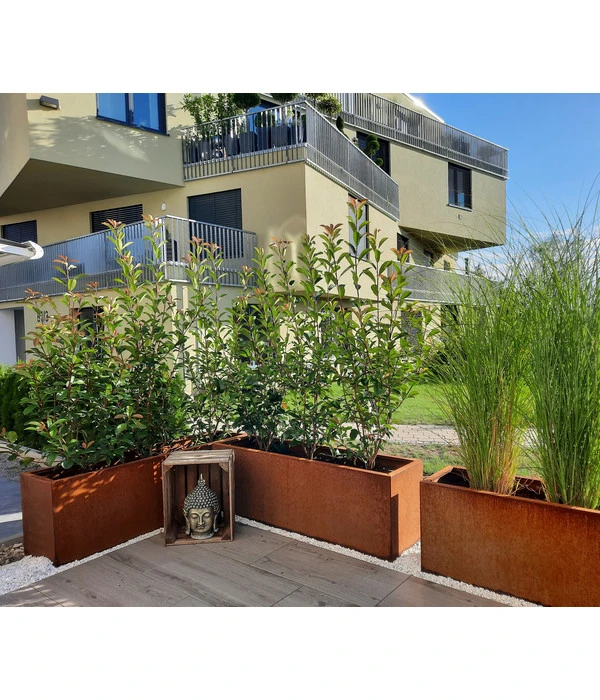 Palatino Cortenstahl-Pflanzgefäß Lotte 2 Palatino Cortenstahl-Pflanzgefäß Lotte – Bild 2