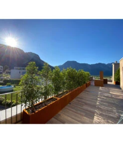 Palatino Cortenstahl-Pflanzgefäß Lotte 11 Palatino Cortenstahl-Pflanzgefäß Lotte -Gardena Verkäufe 2015279 WE MO 002 PalatinoPflanzkastenLotte100