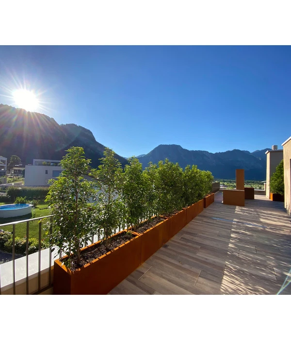 Palatino Cortenstahl-Pflanzgefäß Lotte 3 Palatino Cortenstahl-Pflanzgefäß Lotte – Bild 3