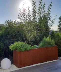 Palatino Cortenstahl-Pflanzgefäß Lotte 12 Palatino Cortenstahl-Pflanzgefäß Lotte -Gardena Verkäufe 2015279 WE MO 003 PalatinoPflanzkastenLotte100