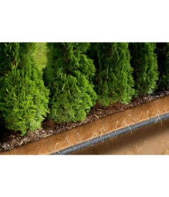 GARDENA Perlregner-Bewässerungsschlauch, 15 M 11 GARDENA Perlregner-Bewässerungsschlauch, 15 M -Gardena Verkäufe 211979 WE DE 003 PERLREGNERSCHL15MTR