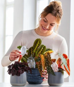 Scheurich Wasserspeicher Bördy XL -Gardena Verkäufe 220527 5356548 WE MO 001 ScheurichWasserspeicherBirdy