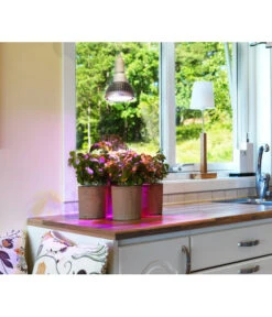 Venso LED-Pflanzenlampe Cultura, 18 W 5 Venso LED-Pflanzenlampe Cultura, 18 W -Gardena Verkäufe 4179537 WE MO 002 PflanzenlampeCultura18W2