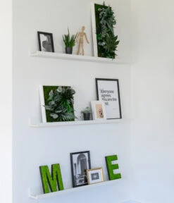 StyleGREEN Bild Im Dschungeldesign, Quadratisch, Ca. B35/H35/T16 Cm -Gardena Verkäufe 6429435 WE MO 004 BuchstabenIslandmoosimRegal