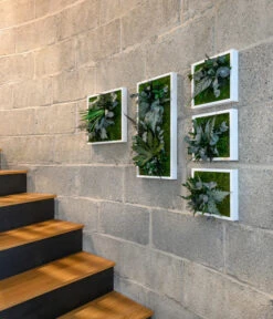 StyleGREEN Bild Im Dschungeldesign, Quadratisch, Ca. B35/H35/T16 Cm -Gardena Verkäufe 6429864 WE MO 002 Pflanzenbild35x35cmStylegreen