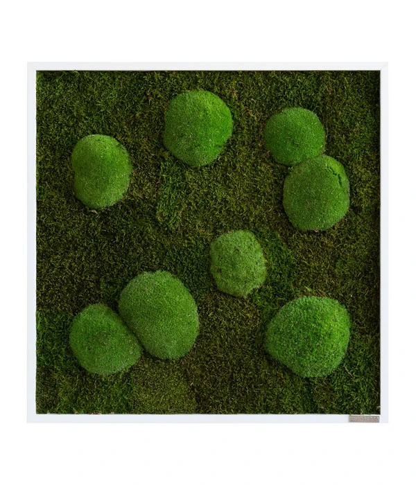 StyleGREEN Bild Aus Wald- Und Kugelmoos, Quadratisch, Ca. B55/H55/T6 Cm 1 StyleGREEN Bild Aus Wald- Und Kugelmoos, Quadratisch, Ca. B55/H55/T6 Cm