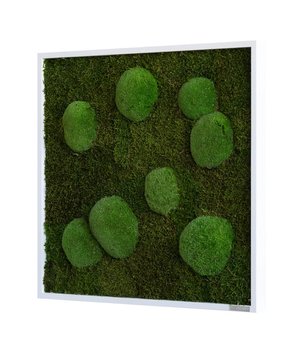 StyleGREEN Bild Aus Wald- Und Kugelmoos, Quadratisch, Ca. B55/H55/T6 Cm 2 StyleGREEN Bild Aus Wald- Und Kugelmoos, Quadratisch, Ca. B55/H55/T6 Cm – Bild 2