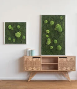 StyleGREEN Bild Aus Wald- Und Kugelmoos, Quadratisch, Ca. B55/H55/T6 Cm 5 StyleGREEN Bild Aus Wald- Und Kugelmoos, Quadratisch, Ca. B55/H55/T6 Cm -Gardena Verkäufe 6429880 WE MO 001 Wald Kugelmoosbild55x55cmStylegreen