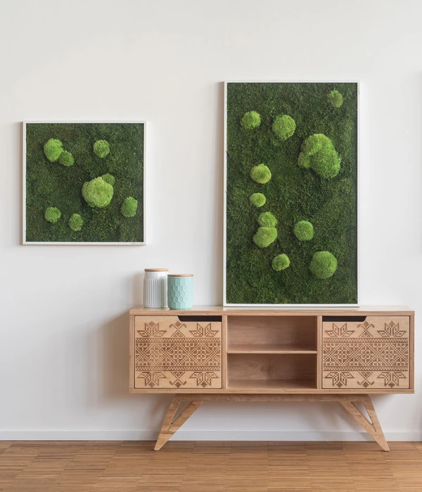 StyleGREEN Bild Aus Wald- Und Kugelmoos, Quadratisch, Ca. B55/H55/T6 Cm 3 StyleGREEN Bild Aus Wald- Und Kugelmoos, Quadratisch, Ca. B55/H55/T6 Cm – Bild 3