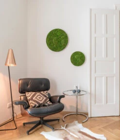 StyleGREEN Bild Aus Kugelmoos, Ellipsoid, Ca. Ø54 Cm 7 StyleGREEN Bild Aus Kugelmoos, Ellipsoid, Ca. Ø54 Cm -Gardena Verkäufe 6429963 WE MO 001 KugelmoosEllipsoid54cmStylegreen