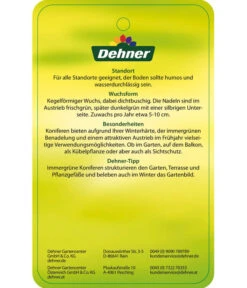 Korea-Tanne 'Molli' -Gardena Verkäufe 7001936 KoreatanneMolli Etikett 2