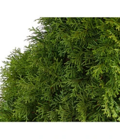 3 Meter Lebensbaum 'Smaragd', 6 X Ca. 125-150 Cm -Gardena Verkäufe 7513534 WE DE 001 ThujaLebensbaumOccidentalisSmaragd20LDehnerExpressHerzig 1