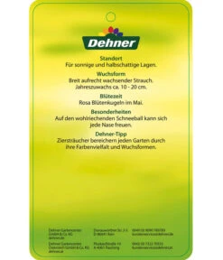 Duft-Schneeball 'Aurora' -Gardena Verkäufe 7534274 DuftschneeballAurora Etikett 02