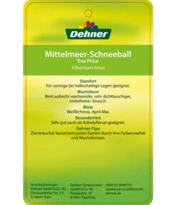 Mittelmeer-Schneeball, Stämmchen -Gardena Verkäufe 7539406 Mittelmeer SchneeballEvePrice Etikett 2