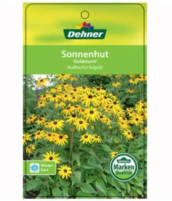 Sonnenhut 'Goldsturm' -Gardena Verkäufe 8010043 RudbeckiaGoldsturmEtikett1