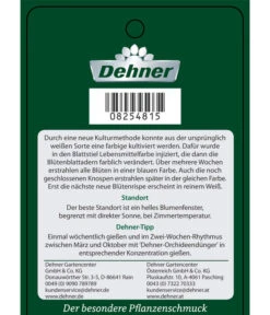 Schmetterlingsorchidee - Phalaenopsis Cultivars 'Blue Wonder', Kaskade -Gardena Verkäufe 8254815 PhalaenopsisBlueWonder Etikett 2