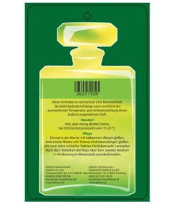 Duft-Orchidee - Phalaenopsis-Hybride 'Flacon Solaire' -Gardena Verkäufe 8257909 Etikett2 PhalaenopsisFlaconSolaire 02072018