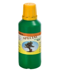 Bonsai Chinesischer Feigenbaum - Ficus Retusa, Anfänger-Set, 10 Jahre -Gardena Verkäufe 8561573 WE FS 003 DuengerSetBonsai