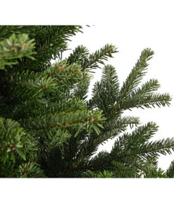 Gardena Verkäufe -Gardena Verkäufe 8995912 WE DE 002 AbiesNordmannianaNordmanntanneMQ175 200GesaegtDehnerExpressHerzig